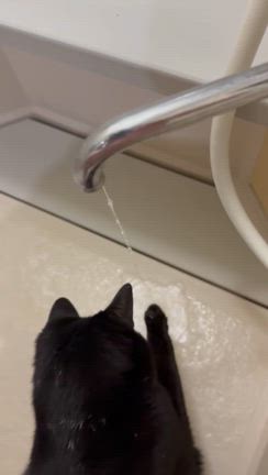 暑い日には水遊びが楽しいよねの記事動画