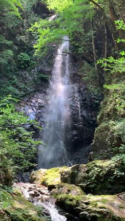 【レポ】檜原村 九頭龍神社リトリートの記事動画