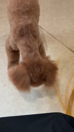 勇気くんの記事動画