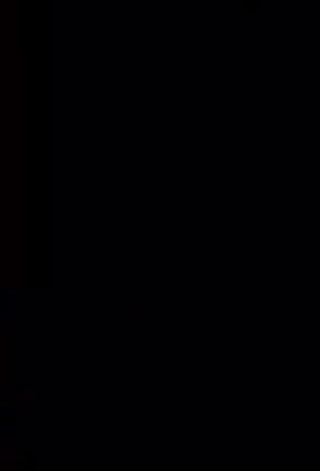 ホタルの光。優しい光。の記事動画