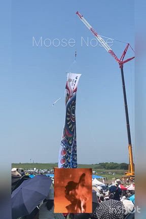 世界一のこいのぼりを見にいく①の記事動画