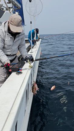 5日(土曜)オキメバル(^.^)の記事動画