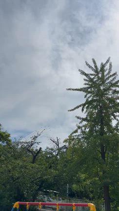 ブルーインパルスの記事動画