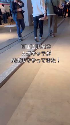 2024/11/21の記事動画