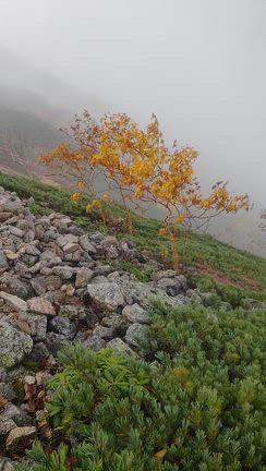 表銀座縦走その2の記事動画