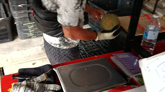 マレーシアペナンのドリアンの記事動画