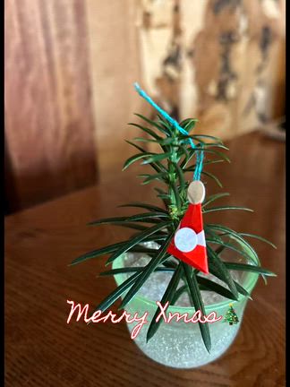 Merry Xmasの記事動画