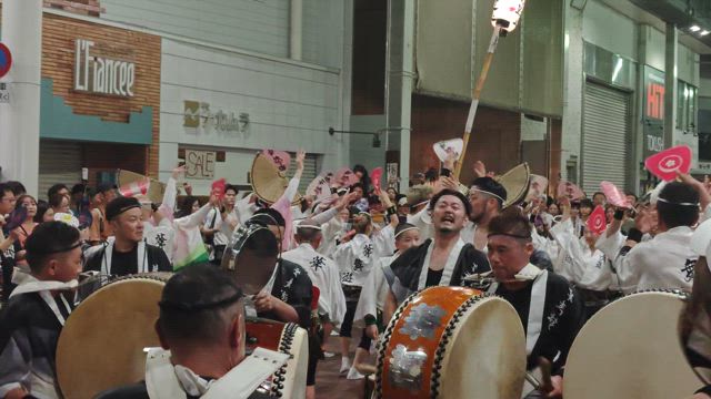 初日は見る阿呆の記事動画