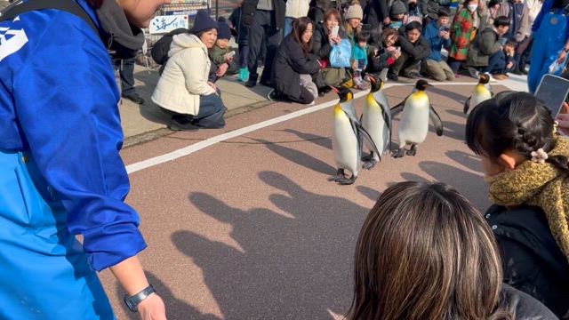 越前松島水族館の記事動画
