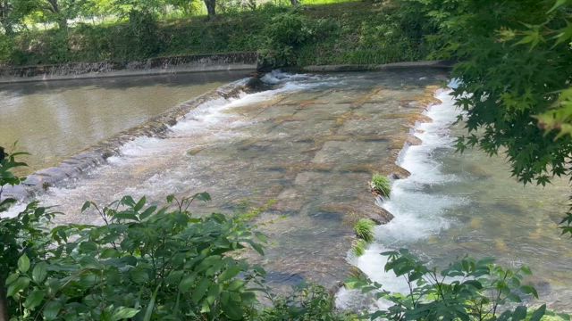 夏至が来ると思い出す、これからもずっとの記事動画