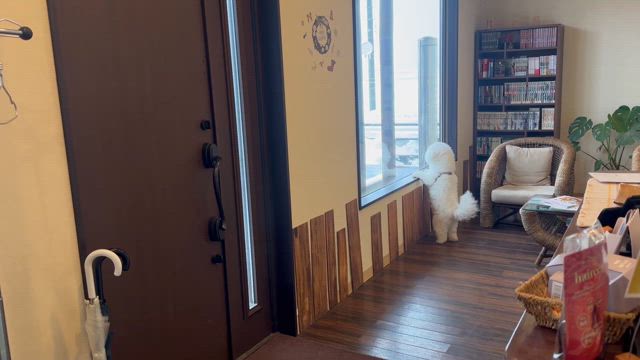 日曜日の夜が一番ホッとする（床屋あるある）の記事動画