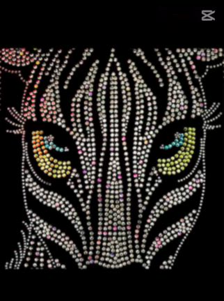 ゼブラ&ニコ ネット発売開始‼️の記事動画