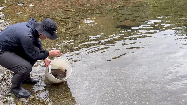10月21日(火)の記事動画