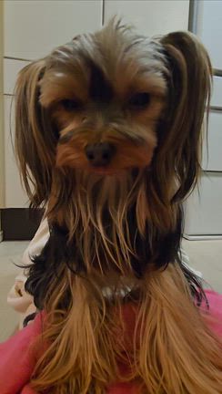 寝てる！笑の記事動画