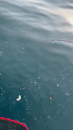 3月29日　タイラバの記事動画