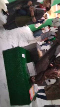 万博と麻婆茄子の記事動画