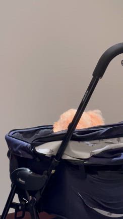 点検⭐︎暇すぎての記事動画