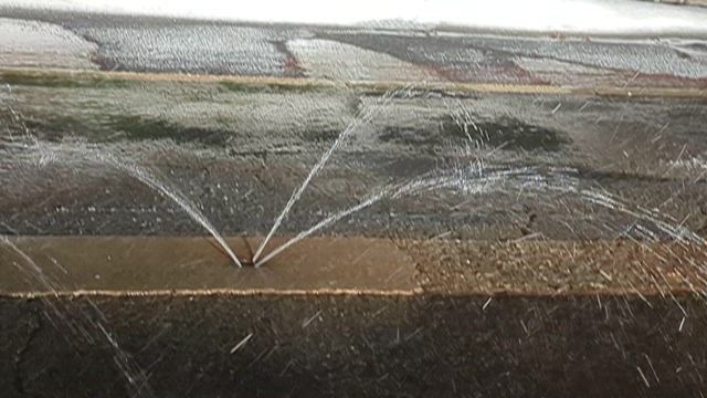 暖かかった先週と雪の週末の記事動画