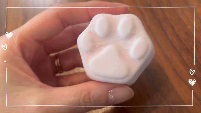 今日はにゃんにゃんにゃんの日の記事動画