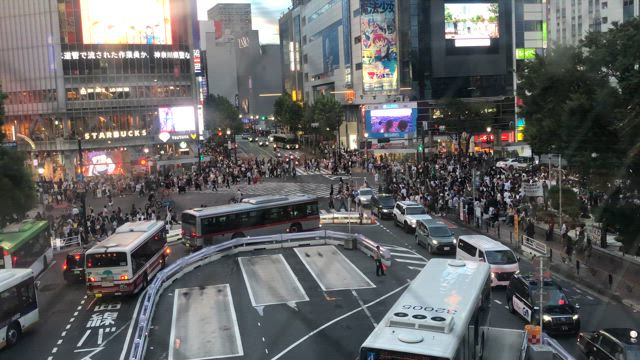 作曲の記事動画