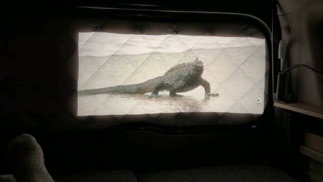 春の昼飲みと娘と僕の欲しかったものの記事動画