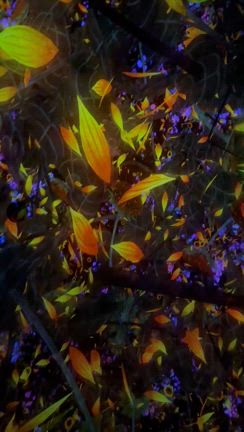 お客様もきっとそうだと思う！の記事動画