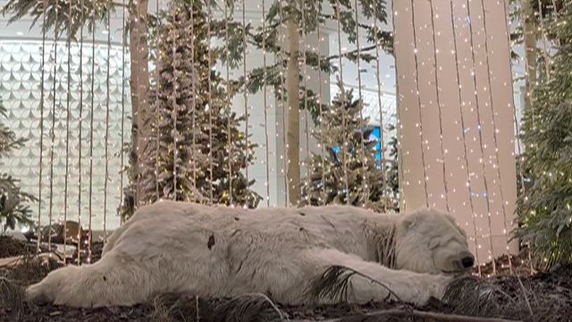 2025.11⑭ ザ・現代ソウル@ハリーのクリスマス工房『Atelier de Noël』の記事動画