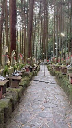 ⭐️お休みの色々⭐️の記事動画