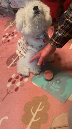 打楽器奏者？を目指して／お勉強が終わったらの記事動画