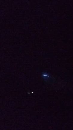 仲良ちコンビなのニャの記事動画