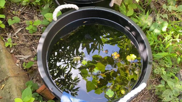 たたら浜の記事動画