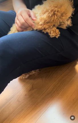 口臭の記事動画