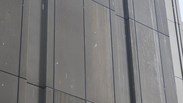 東京、冷たい雨から名残り雪の記事動画