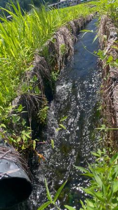 魚沼へ。の記事動画