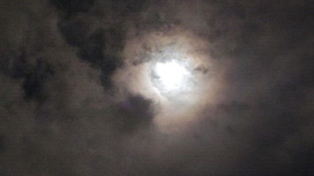 十五夜さんと満月さん◉‿◉の記事動画