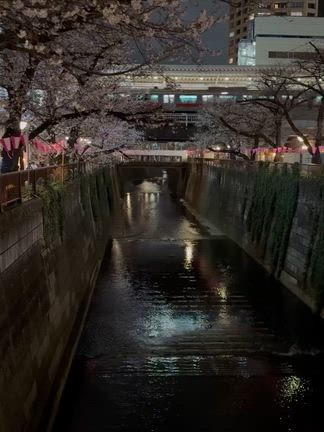 2026/03/27の記事動画