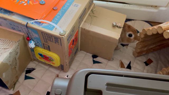 グリス姉さんと、ふわり〜ちゃん（追記あり）の記事動画