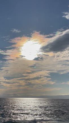 霊夢による警告‼️火の鳥2025❗️寶徳山稲荷大社神幸祭報告①供儀協賛奉納者一覧リスト公開の記事動画