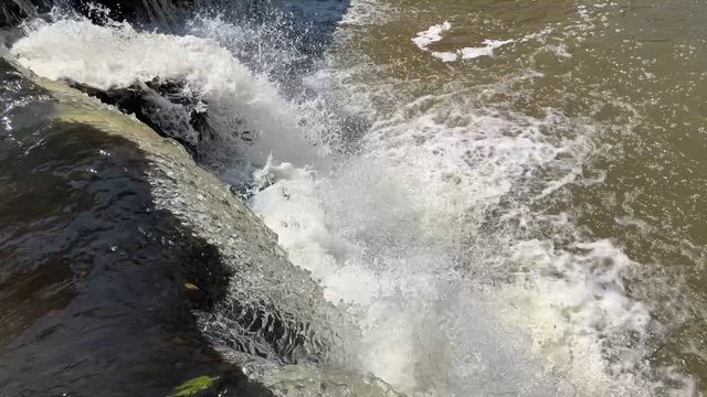 癒されましたd(^_^o)の記事動画