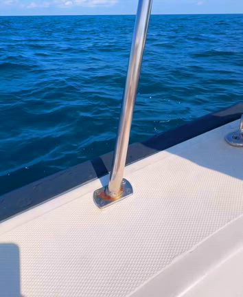 【モルディブ】イルカに会いに行って来た！感動で鳥肌！の記事動画