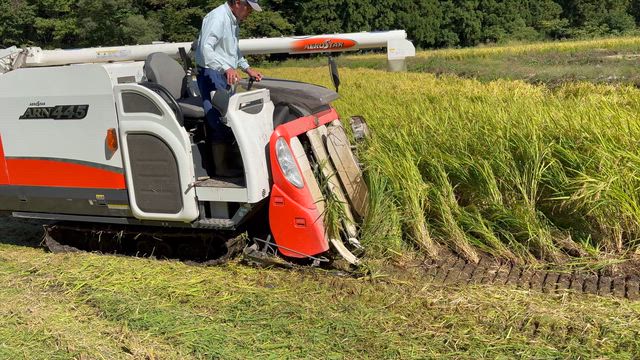 清流の記事動画