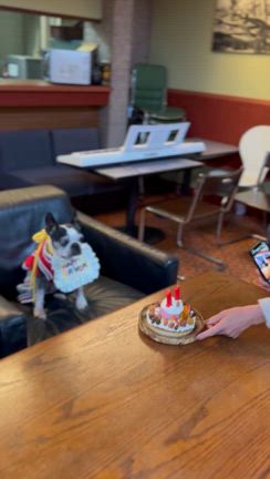 ふるさと納税と凌雲閣（十勝岳温泉）の記事動画