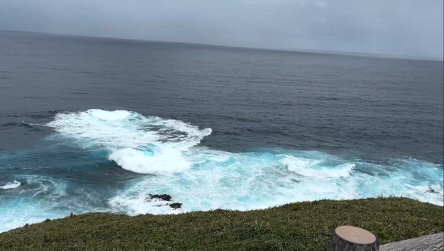 海王星が愛の意識のトビラを開けるの記事動画