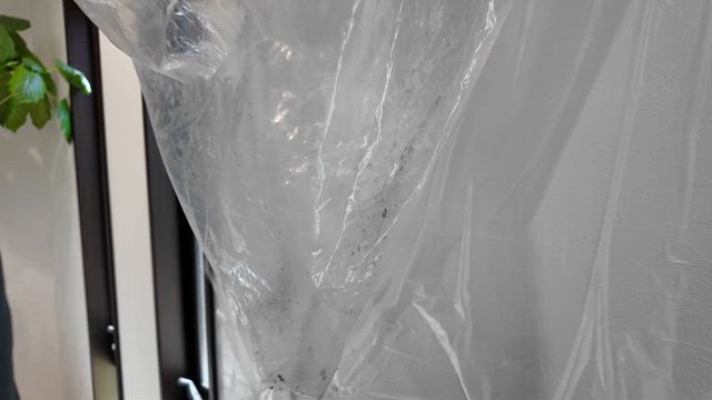 【閲覧注意】エアコンから出てきたのは、まさかのドブ水…！の記事動画