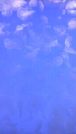 日帰り旅行ラスト！の記事動画