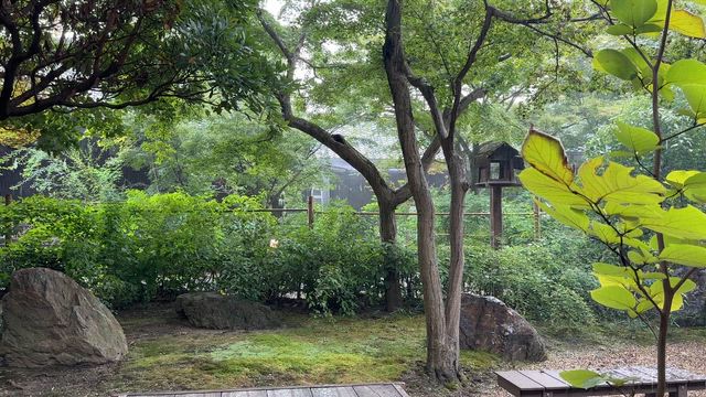 京都三神社　弾丸参拝の記事動画
