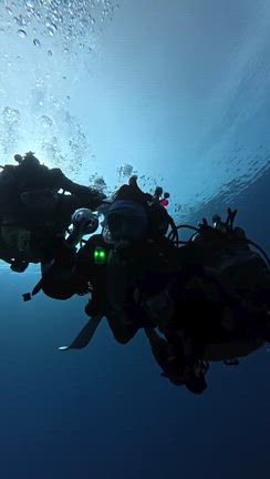 2025/12/25の記事動画