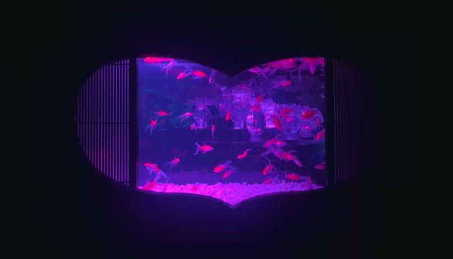 日帰りで東京そしてマシンピラティスの記事動画