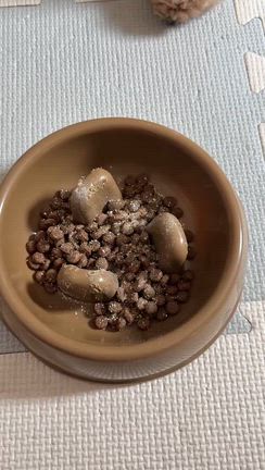 1歳の可愛さに癒された1日の記事動画