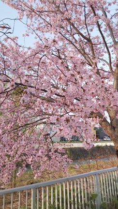 KIN189　自分の置かれている立場に目をむけてみようの記事動画